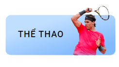TF88 the thao banner